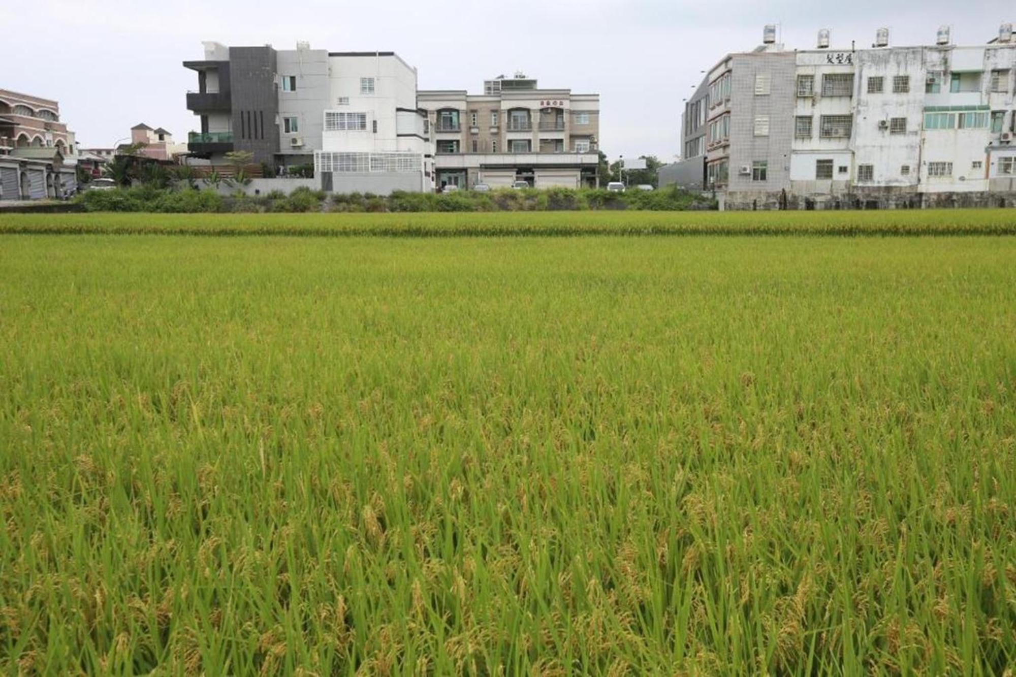 프리홈 B&B Taitung 외부 사진